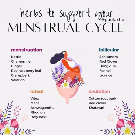 Natural Remedies For Menstrual Cycle, Herbs To Regulate Menstrual Cycle, Herbs For Cycle Phases, Herbs Menstrual Cycle, Herbal Tea Cycle Syncing, Herbal Menstrual Relief, Menstrual Cycle Spiritual, Cycle Syncing Herbal Teas, Supplements For Menstrual Cycle