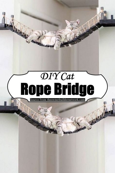 Cat Track On Wall, Cat Wall Bridge, Diy Cat Walkway, Diy Cat Hammock Wall, Bengal Cat Toys, Diy Cat Rope Bridge, Diy Wall Cat Tree, Diy Cat Bridge Easy, Cat Activity Wall Diy