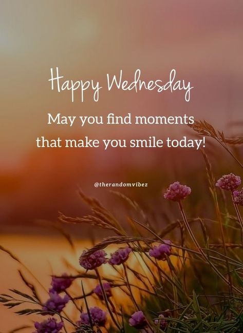 Winter Wednesday Morning Quotes, Wonderful Wednesday Quotes, Weekday Motivation, Fun Captions, Messages Ideas, Chiropractic Benefits, Hump Day Quotes, Wednesday Morning Quotes, Hello Wednesday