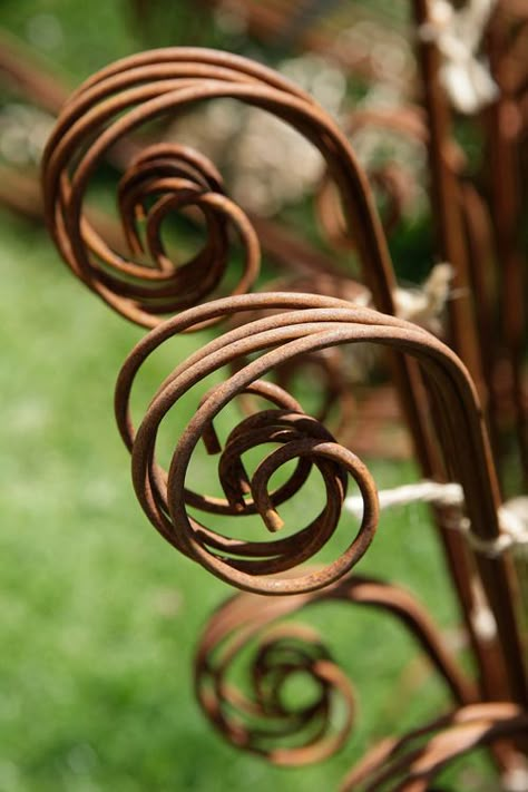 cottesbrooke plant fair Garden Supports, Chelsea Garden, Garden Works, Tall Plants, Table Of Contents, Plant Supports, Garden Structures, Garden Stakes, Garden Paths