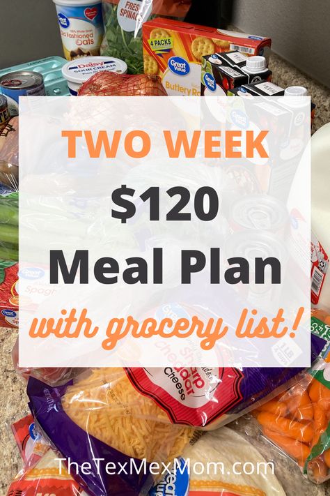 Two Week Meal Plan, Weekly Meal Plan Family, Meal Plan With Grocery List, Cheap Family Dinners, Cheap Meal Plans, Frugal Meal Planning, Aldi Meal Plan, Cheap Family Meals, Meal Planning Menus