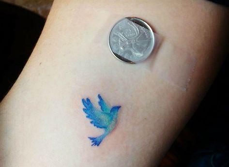 Watercolor Bluebird Tattoo, Bluebird Tattoo Small Simple, Small Blue Bird Tattoos For Women, Tiny Blue Bird Tattoo, Small Blue Bird Tattoo, Small Bluebird Tattoo, Blue Bird Tattoos For Women, Bluejay Tattoo, Lovebird Tattoo