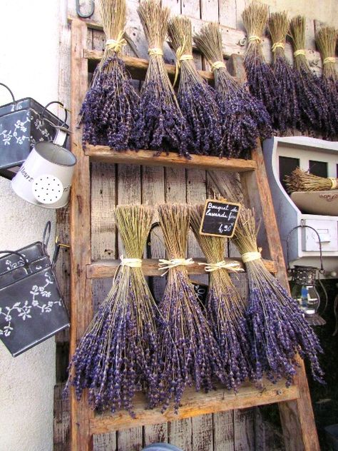 The Store, Lavender, Flowers