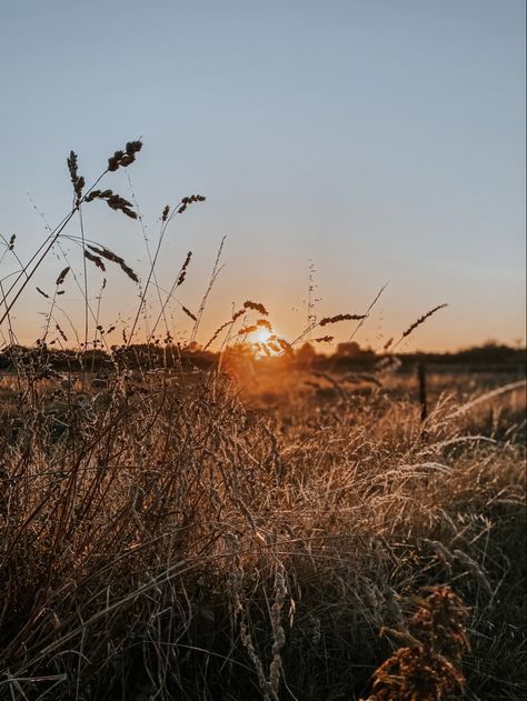 Country Fields Aesthetic, Western Esthetics, Country Athestic, Country Sunset Aesthetic, Sunsets Country, Country Astetic, Widget Photos Aesthetic, Country Vibes Aesthetic, Southern Pictures