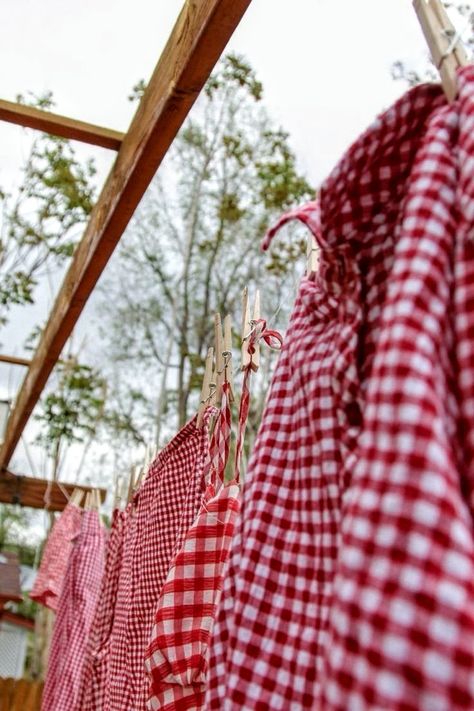 Chicken Aprons, Fall Fest, Picnic Ideas, English Cottage Style, Barn Decor, Outdoor Backyard, Little Cottage, Barn Quilt, Red Gingham