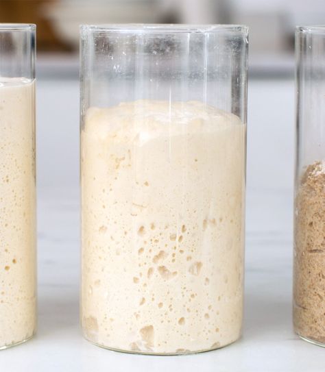 Sourdough Starter Recipe | King Arthur Baking Make Sourdough Starter, Sourdough Starter From Scratch, Earth Food, Sourdough Bread Starter, Starter Recipe, Bread Starter, Sourdough Starter Recipe, Wild Yeast, Sour Dough