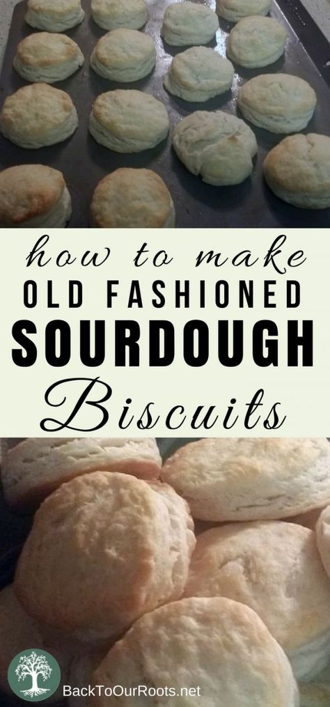 Sourdough Biscuits, Dough Starter, Sourdough Starter Recipe, Sour Dough, Sourdough Baking, Homemade Biscuits, Starters Recipes, Sourdough Recipes, Bread Recipes Homemade