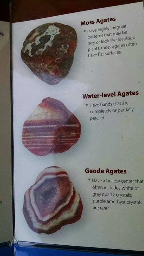 More info Agate Hunting, Colored Rocks, Michigan Rocks, Raw Gemstones Rocks, Rock Identification, Gemstones Chart, Rock Collecting, Rock Tumbling, Agate Rocks