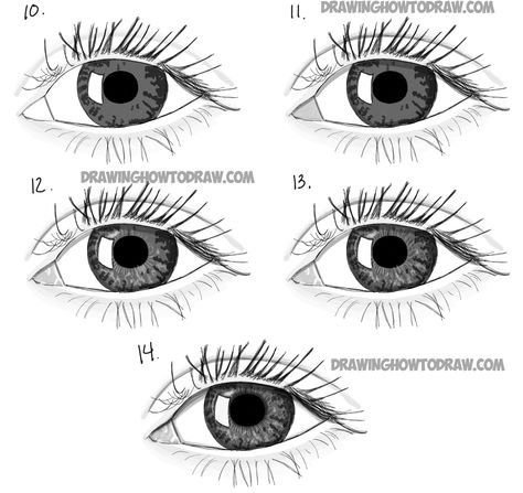 Eye Pencil Drawing, Roblox Accessories, Easy Eye Drawing, Realistic Eyes, Realistic Eye Drawing, Draw Realistic, Drawing Eye, Easy Drawings For Beginners, Tree Drawings Pencil