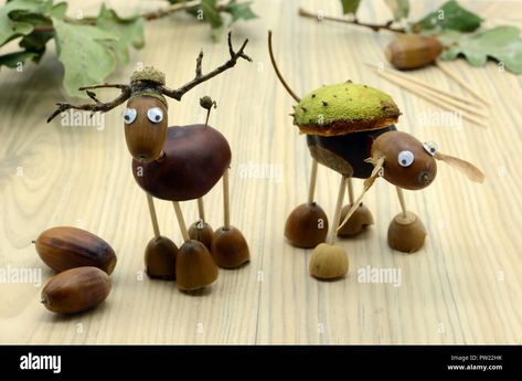 Download this stock image: creating deer made of acorn and chestnut figures in autumn time. childhood tinker. - PW22HK from Alamy's library of millions of high resolution stock photos, illustrations and vectors. Acorn Crafts, Man Crafts, Horse Diy, Diy For Men, Chestnut Horse, Fall Crafts For Kids, Autumn Crafts, Kids Diy, Childrens Crafts