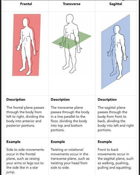 Planes Biomechanics Study, Anatomy Basics, Medical Terminology Study, Physical Therapy Student, Reference Page, Nursing School Motivation, Medical School Life, Basic Anatomy And Physiology, Nurse Study Notes