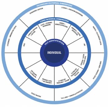 Social Identity Wheel, Intersectionality Activity, Social Identity, Diversity Inclusion, United Way, Wheel, The Unit, Quick Saves