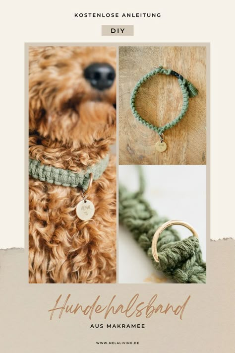 Macrame Pet Collar, Diy Dog Collar, Diy Christmas Village, Pet Keepsake, Led Dog Collar, Pet Boutique, Dog Crafts, Macrame Ideas, Macrame Decor