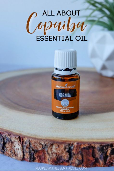 Cedarwood Essential Oil Young Living, Young Living Copaiba, Copaiba Oil, Essential Oil Usage, Copaiba Essential Oil, Essential Oils For Face, List Of Essential Oils, What Are Essential Oils, Making Essential Oils