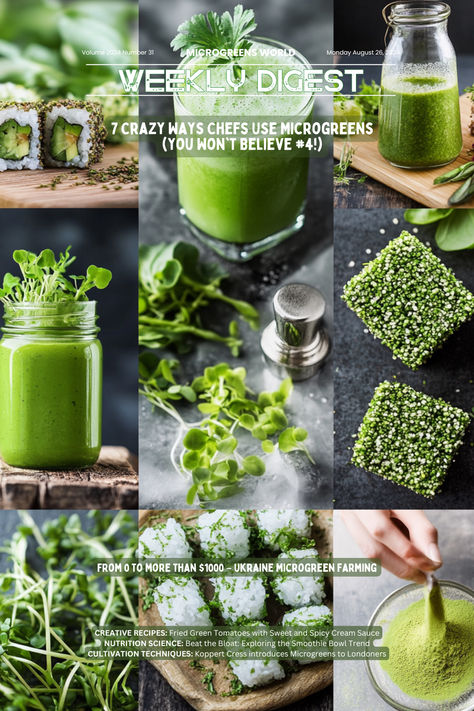 A vibrant, colorful collage showcasing various innovative uses of microgreens. Micro Green Recipes, Microgreen Smoothies, Microgreen Farming, Pea Microgreens, Microgreens Business, Light Salad Recipes, Microgreen Recipes, Broccoli Microgreens, Microgreens Recipe