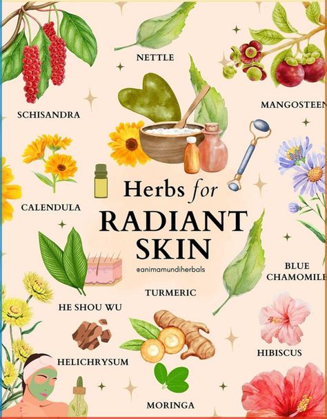 Diy Skincare, Skincare Ingredients