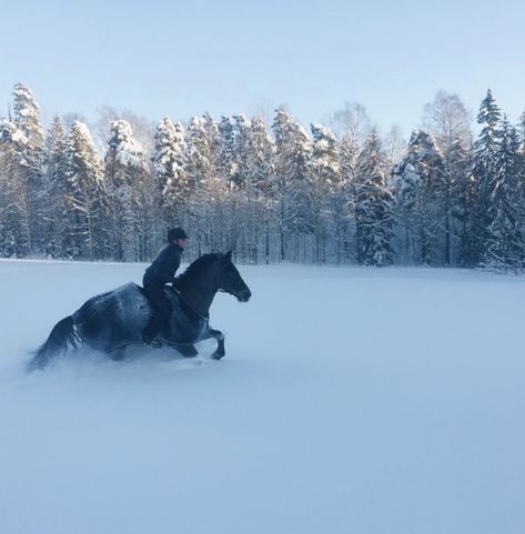 Snow Horse Aesthetic, Walks With Dog, Horse Snow, Horses In Snow, Winter Horse, Equestrian Aesthetic, Snow Trip, Horse Aesthetic, Equestrian Lifestyle