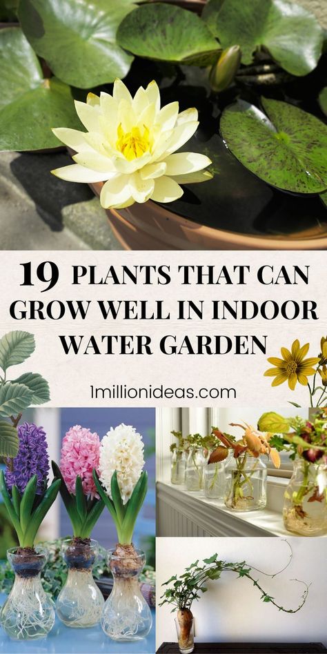 n addition to growing houseplants in the living space, many people also prefer to add a water feature such as a mini pond, a mini water fountain. However, just a water feature, isn’t enough to add the beauty of nature to your home. Water plants are great additions, they not only make a pond or water fountain all the more interesting but also improve the quality of the air. That is the reason why in this post today, we want to share 19 Plants That Can Grow Well In Indoor Water Garden. Mini Water Fountain, Indoor Plant Care Guide, Water Terrarium, Plants Grown In Water, Indoor Pond, Mini Pond, Indoor Water Garden, Diy Water Fountain, Indoor Water Fountains