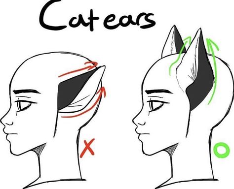 Animal Ears Drawing, Human With Animal, Ears Drawing, Draw Cat, Body Drawing Tutorial, Drawing Expressions, Fluffy Cat, Anime Drawings Tutorials, Commissions Open