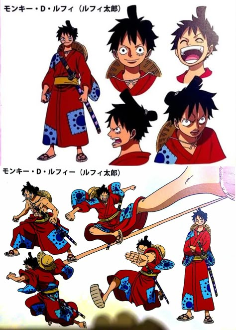 One Piece - Luffy [Wano] Wano Nami, Cosplay Luffy, Luffy Outfits, Sea Turtle Wallpaper, Bulldog Wallpaper, One Piece Wallpaper, One Piece Cartoon, Batman Poster, Luffy Gear 5