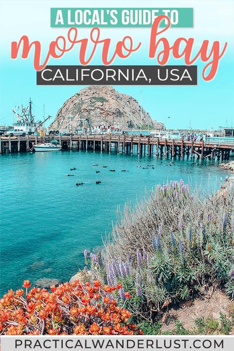 The ultimate local's guide to Morro Bay, California things to do and see! This quiet little coastal beach town is the perfect California road trip stop along Highway One/The Pacific Coast Highway, and one of the cutest unknown California travel destinations! #Travel #California Coastal Beach Town, Morro Bay California, California Road Trip, Travel California, Destinations Travel, Pismo Beach, Visit California, California Travel Road Trips, Pacific Coast Highway