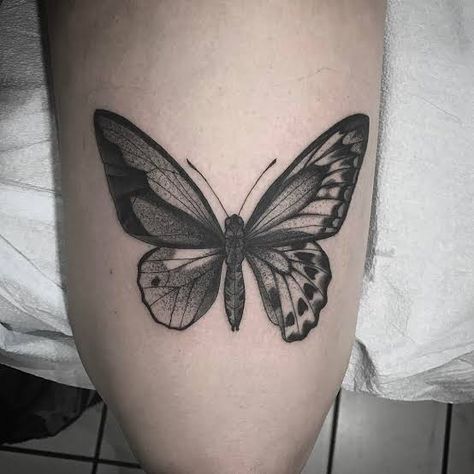 Half Moth Half Butterfly Tattoo, Gynandromorph Butterfly, Lost Boys Tattoo, Dave Tattoo, Tattoo Toronto, Small Back Tattoos, Insect Wings, Moth Tattoo, Red Tattoos