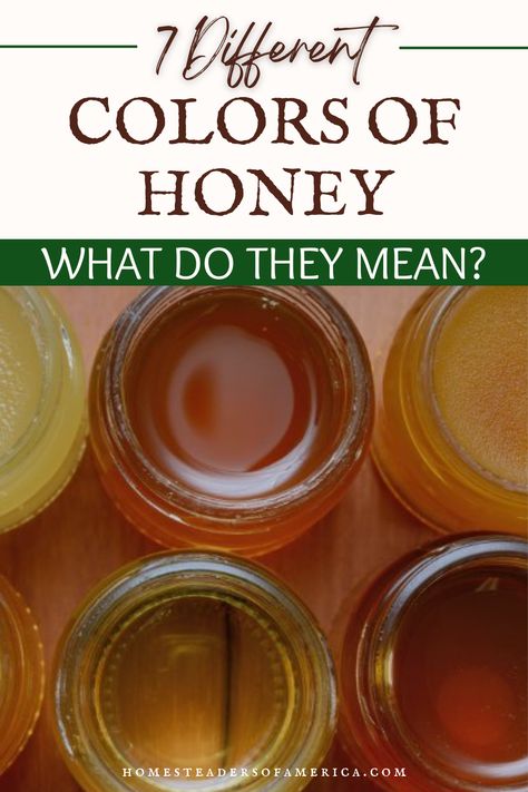 Honey comes in an array of colors. Find out where the different colors of honey come from & what they mean for the honey in your jar. Different Types Of Honey, Bee Food, Types Of Honey, White Honey, Tupelo Honey, Local Honey, Food Charts, Honey Colour, Raw Honey