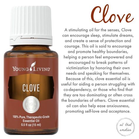 Clove Essential Oil Benefits, Young Living Clove, Young Living Oils Recipes, Living Oils Recipes, Essential Oil Usage, Essential Oils 101, Young Living Essential Oils Recipes, Clove Essential Oil, Yl Oils