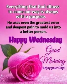 Daily Dose To A Blessed Life: Wednesday July 10th 2024 🌹 Read Song of Songs 2 🌹 The rose of Sharon 🌹 The Rose Of Sharon, Motivational Scriptures, Song Of Songs, Genesis 6, Blessed Wednesday, History Quotes, The Flood, Rose Of Sharon, Blessed Life