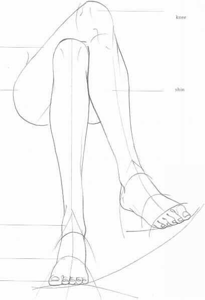 Illustration Poses, Leg Anatomy, Drawing Legs, Leg Art, Structural Drawing, Drawing Body Poses, Human Anatomy Art, Body Reference Drawing, Body Pose Drawing