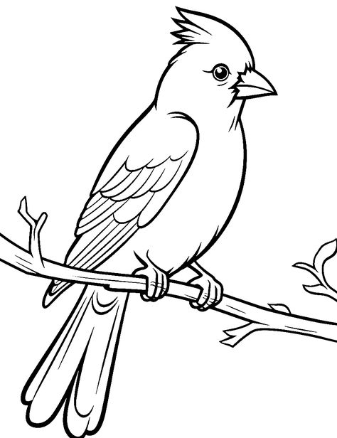 Cardinal Drawing, Bird Outline, Bird Coloring, Minimal Illustration, Bird Template, Fish Coloring Page, Bird Drawing, Pumpkin Coloring Pages, Outline Illustration