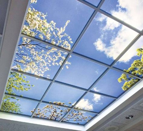 #virtualwindow #exteriorview #naturallight #daylighting #biophilia #biophilicdesign #virtualskylight #skylight Fake Skylight, Modern Skylights, Skylight Glass, Sky Led, Vaulted Ceiling Lighting, Window Shades Blackout, Skylight Installation, Skylight Design, Sky Ceiling