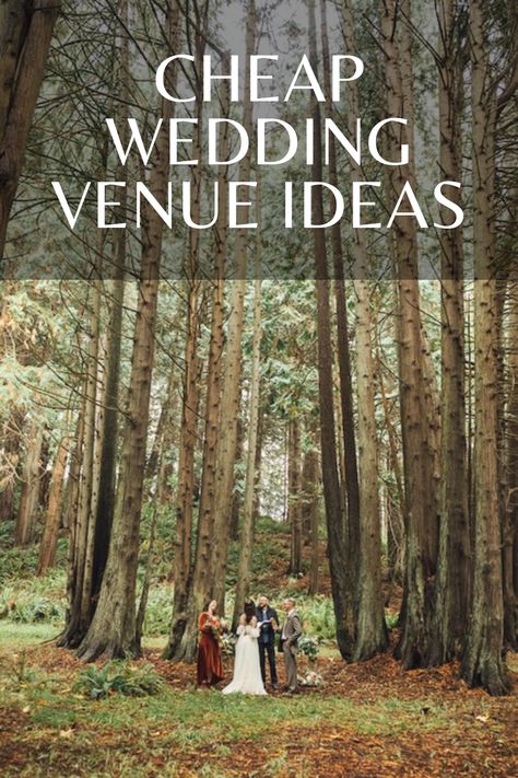 Find cheap wedding venues. Affordable wedding venues are all around us--you just have to know where to look. Learn these 5 simple steps to uncover the best and cheapest wedding venues in your area and keep your wedding affordable!  #cheapweddingvenues #affordableweddingvenues #freeweddingvenues Washington Outdoor Wedding, Wedding Venues On A Budget, Cheapest Wedding Venues, Cheapest Wedding Ideas, Outdoor Venue Ideas, Wedding Venues Budget, Wedding Venues Affordable, Creative Wedding Venues, Free Wedding Venues