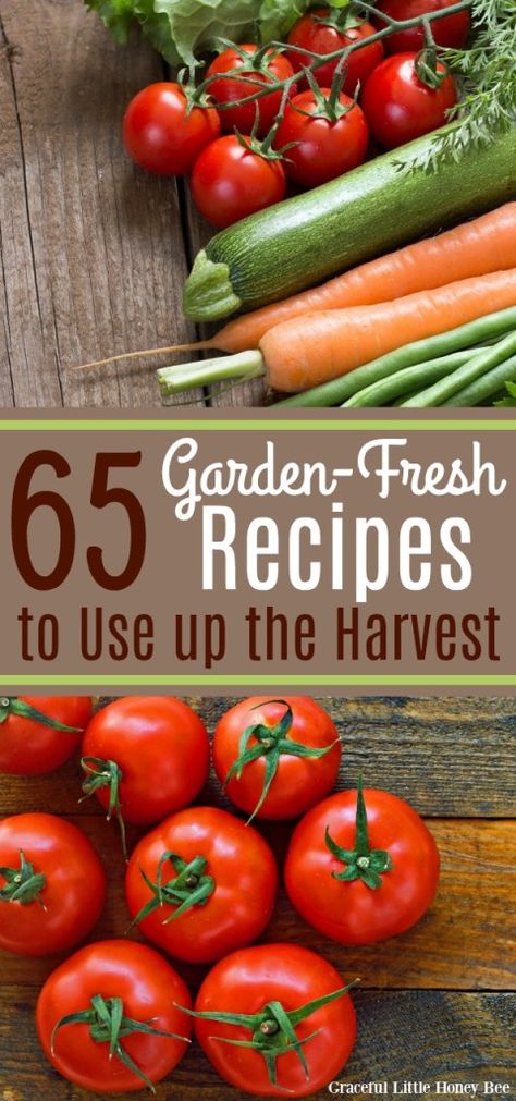 Check out this list of 65 Garden-Fresh Recipes that will help you use up your harvest or your farmer's market produce! Find the recipes at gracefullittlehoneybee.com #garden #easyrecipes #homegrown Garden Vegetable Recipes, Farmer Recipes, Fresh Vegetable Recipes, Homegrown Vegetables, Produce Recipes, Farmers Market Recipes, Homegrown Food, Farm Fresh Recipes, Home Grown Vegetables