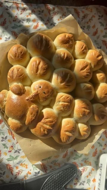 Breaking bread ✨Amanda✨ on Instagram: "This is your sign to turn your thanksgiving day dinner rolls into a fun Turkey! 🥰🦃 . . . These are sourdough discard yeast rolls but you can use your secret family recipe, frozen or any ol’ rolls… . . . . Black peppercorn eyes, milk wash top, after bake—>melted butter and flaky salt….👍🏼 . . . #sourdoughdiscard #dinnerrolls #thanksgiving #thanksgivingdinner #thanksgiving🦃" Thanksgiving Roll Recipe, Sourdough Rolls Thanksgiving, Turkey Bread Rolls, Turkey Dinner Rolls, Roll Shapes, Thanksgiving Sourdough Rolls, Rhodes Rolls Turkey Shaped, Thanksgiving Buns, Fancy Dinner Rolls