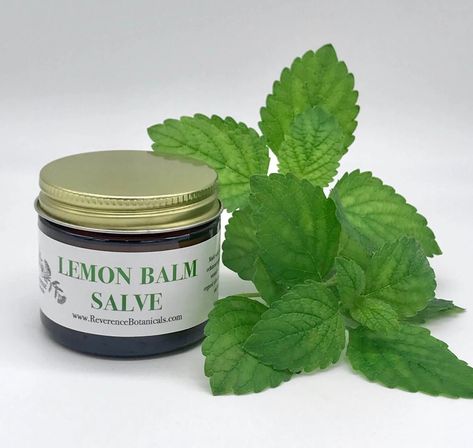 Lemon Balm + herbal antiviral salve, Cold Sore & Outbreak Topical salve | Reverence Botanicals Fever Blister, Cold Sore, Lemon Balm, Beauty Skin, The Balm, Lemon, Skin Care