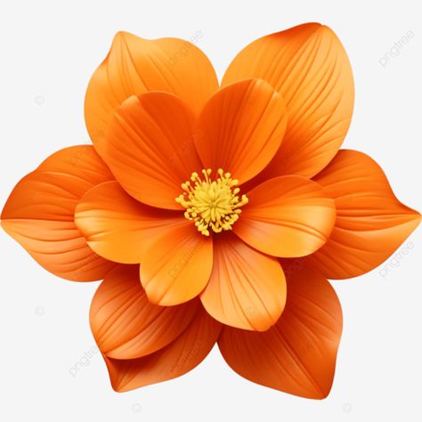 realistic beautiful orange flower illustration element orange png Digital Flowers Png, Orange Flower Background, Orange Core, Orange Png, Christian Photography, Element Illustration, Orange Logo, Flowers Clipart, Transparent Image