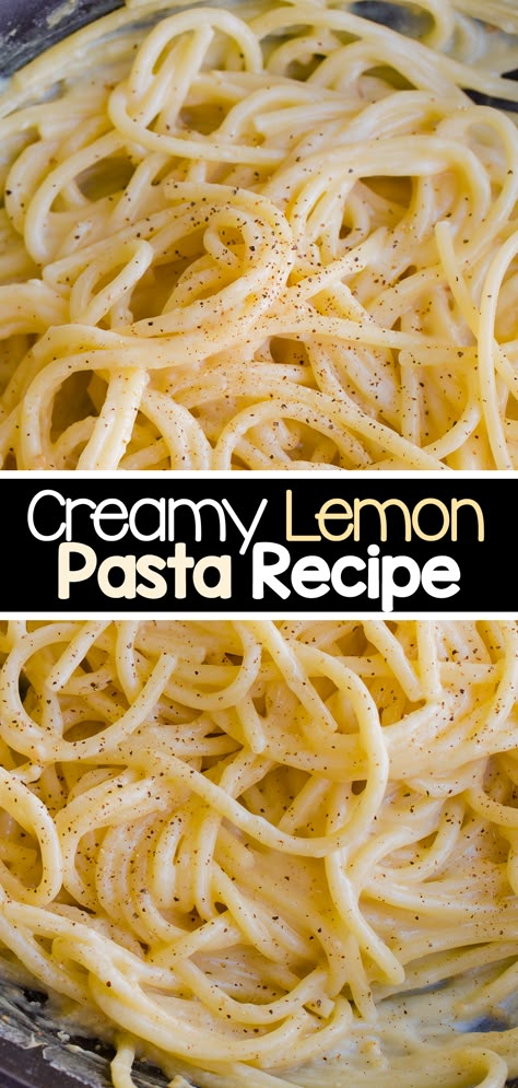 20 Minute Creamy Homemade Lemon Pasta Recipe Homemade Lemon Pasta, Easy Creamy Lemon Pasta, Creamy Lemon Chicken Pasta Recipes, Creamy Lemon Pepper Pasta, Quick Lemon Ricotta Pasta, Fancy Pasta, Avocado Recipes Dinner, Lemon Pasta Recipe, Pasta With Lemon Sauce