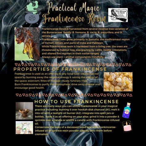 Franincense magical uses. Frankincense spiritual uses. Frankincense uses. Frankincense ritual uses. Frankincense resin. Burning Frankincense, Frankincense Uses, Magickal Herbs, Frankincense Resin, Magic Spell Book, Witchy Crafts, Fire Safe, Sun God, Practical Magic