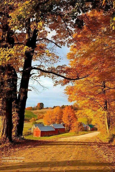 Country Scenery, I Love Autumn, Fall Beauty, Autumn Love, Love Autumn, Autumn Scenes, Dirt Road, Fabulous Fall, Autumn Scenery