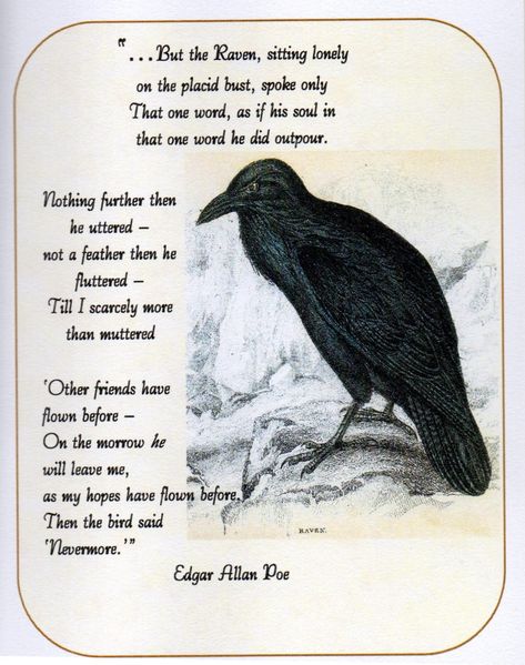 Vampire Journal, Letterpress Art, The Raven Poem, Raven Pictures, Runes Meaning, Poe Quotes, Raven And Wolf, Caw Caw, Quoth The Raven