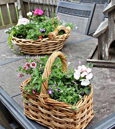 18 Beautiful Summer Projects - Echoes of Laughter Diy Flower Basket, Plant Recipes, Plants In Baskets, Summer Planter, Cane Baskets, Garden Basket, Wicker Planter, Basket Planters, Plant Basket