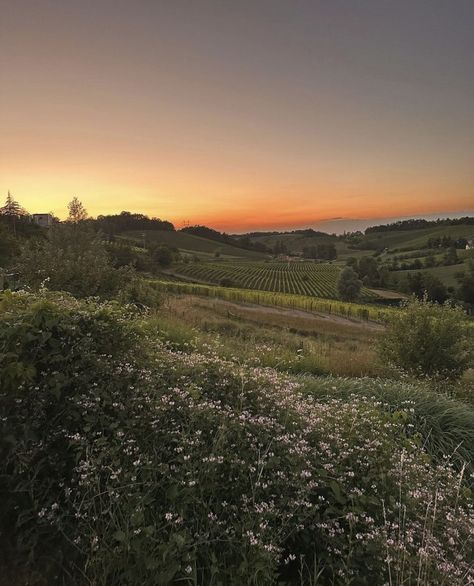 SUNBURNT Italy Countryside Aesthetic, Italy Countryside, View Aesthetic, Avatar Images, Italy Aesthetic, The Velvet, Florence Italy, Luxury Life, Quote Aesthetic