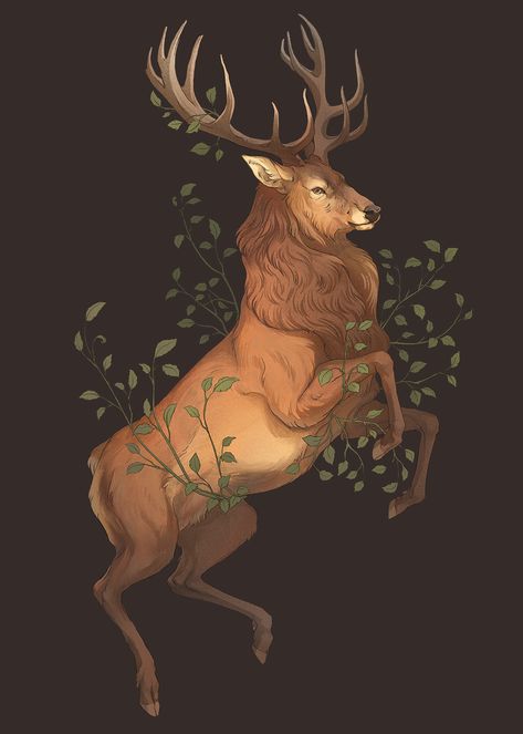 Animal Poster set on Behance Stag Symbolism, Nora Potwora, Deer Drawing, Deer Illustration, Deer Tattoo, Spirit Animal Art, Animal Poster, Deer Design, Deer Art