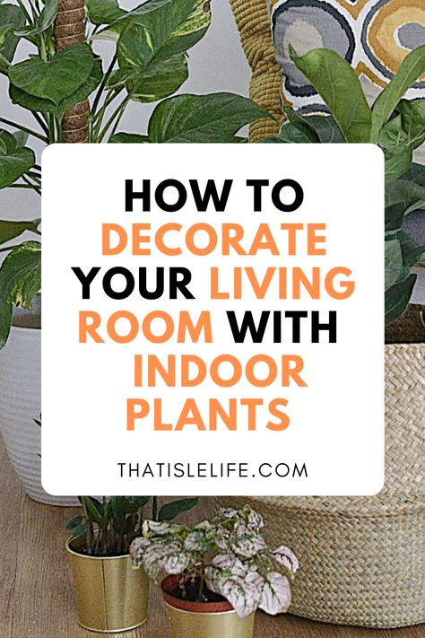 Displaying Plants Indoors Living Rooms, Green Plant Living Room Decor, Homes With Plants Interior Design, Pot Plants Indoor Living Rooms, Indoor Pots For Plants Living Rooms, Displaying Indoor Plants Ideas, Where To Put Plants In House Living Room, Style Plants Living Rooms, Home With Lots Of Plants