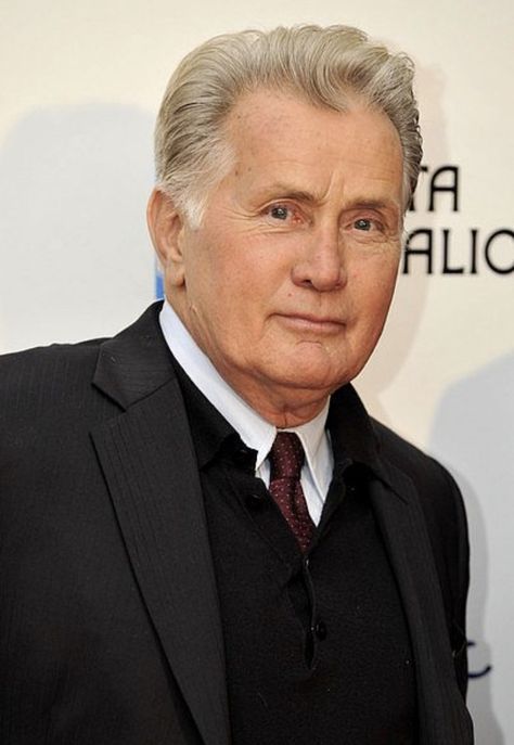 Martin Sheen Martin Sheen, High Five, American Actors, Face Claims, Actors