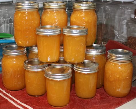 Cantaloupe Jam Canning, Canned Cantaloupe, Cantaloupe Jelly, Cantaloupe Jelly Recipe, Cantaloupe Jam, Cantelope Fruit, Cantaloupe Jam Recipes, Pistolettes Recipe, Manwhich Recipes