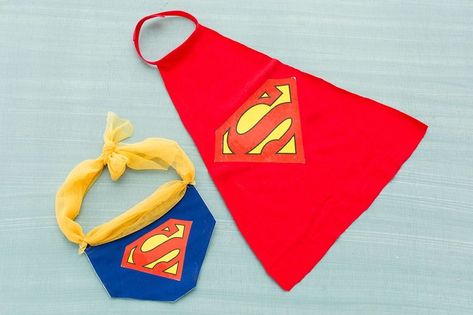 Superman Cape, Superman Costumes, Easy Diy Costumes, Superhero Costume, Diy Dog Costumes, Diy Kostüm, Superhero Capes, Costume For Halloween, Dog Halloween Costumes