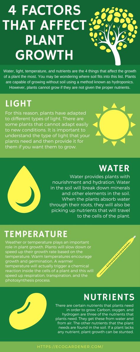 When planting a flower bed or a vegetable garden it is important to understand what plants need to grow. There are 4 main factors that can affect the growth of your plants. They are water, light, nutrients, and temperature. https://ecogardener.com/blogs/news/4-factors-that-affect-plant-growth What Plants Need To Grow, Natural Vegetation, Biology Worksheet, Hydroponic Farming, Plant Study, Plant Tissue, Gardening Books, Science Worksheets, Gardening Advice