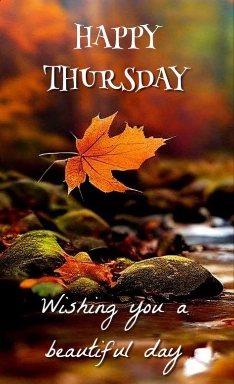 Happy Thursday! I hope you have a beautiful day! 🌞 Iphone Wallpapers Funny, Happy Thursday Images Beautiful, Thrilling Thursday, Thankful Thursday Quotes, Aesthetic Wallpaper Christmas, Christmas Wallpaper Laptop, Elf On The Shelf Welcome, Losing Touch With Reality, Elf On Shelf Ideas